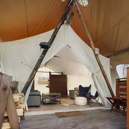 Under Canvas Glacier Coram Luaran gambar