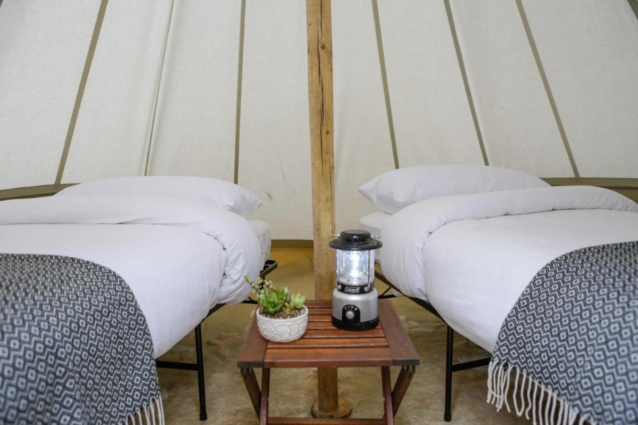 Under Canvas Glacier Coram Luaran gambar