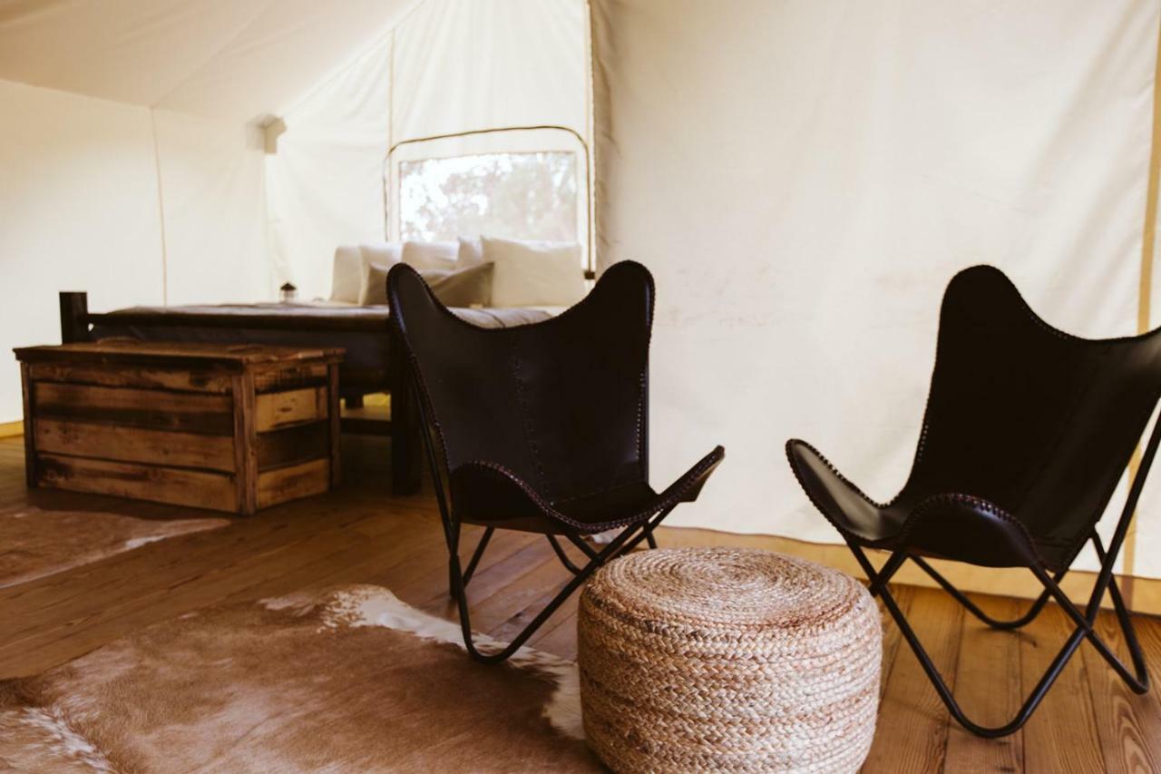 Under Canvas Glacier Coram Luaran gambar