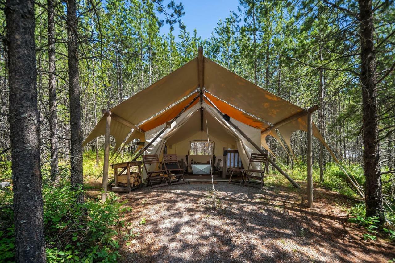 Under Canvas Glacier Coram Luaran gambar