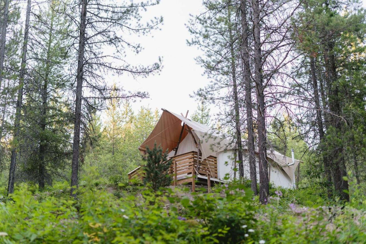 Under Canvas Glacier Coram Luaran gambar