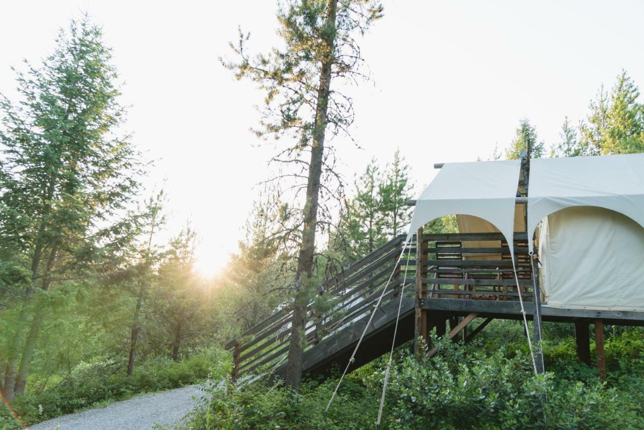 Under Canvas Glacier Coram Luaran gambar